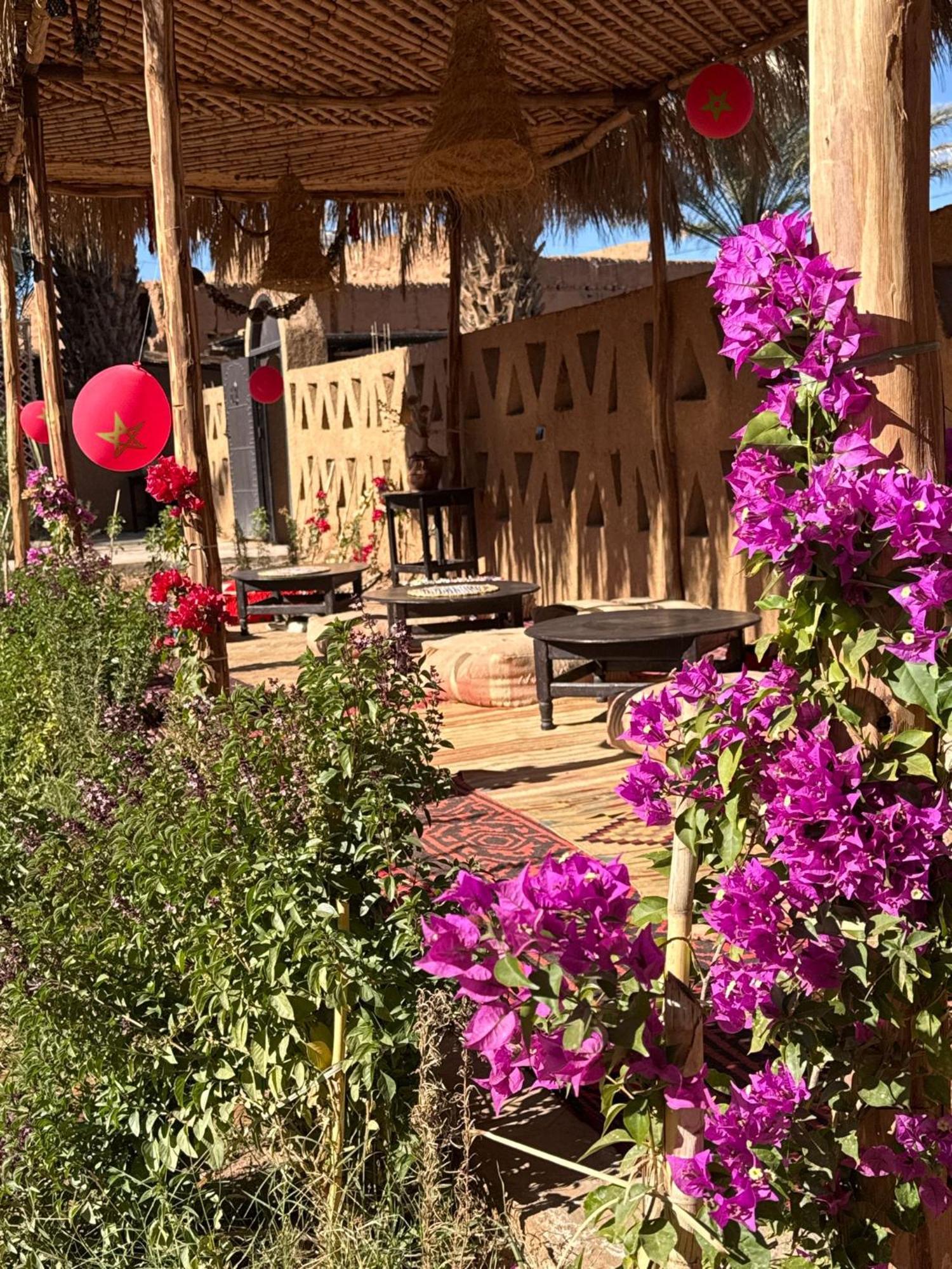 Zagora Oasis Lodge מראה חיצוני תמונה